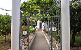 Affittacamere Casa Ferraro